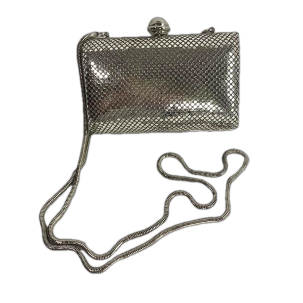 Silver Clutch with Chain Strap